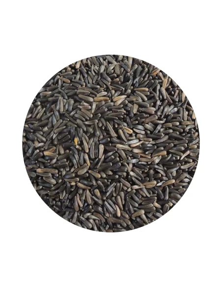 Semillas de Negrillo DISFA para aves, 1 kg